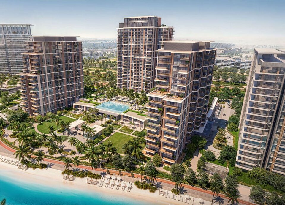 Expert movers | Best Dubai Storage Expert movers